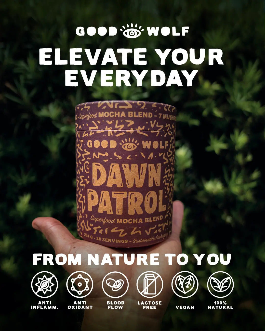What-is-Dawn-Patrol Good Wolf