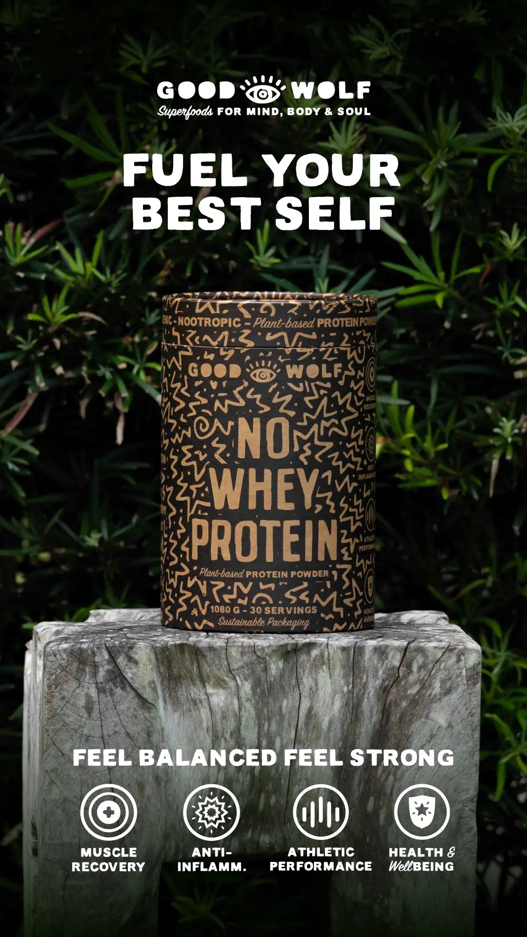 No-Whey-Protein-vs.-Orgain-Vegan-Protein-Powder Good Wolf