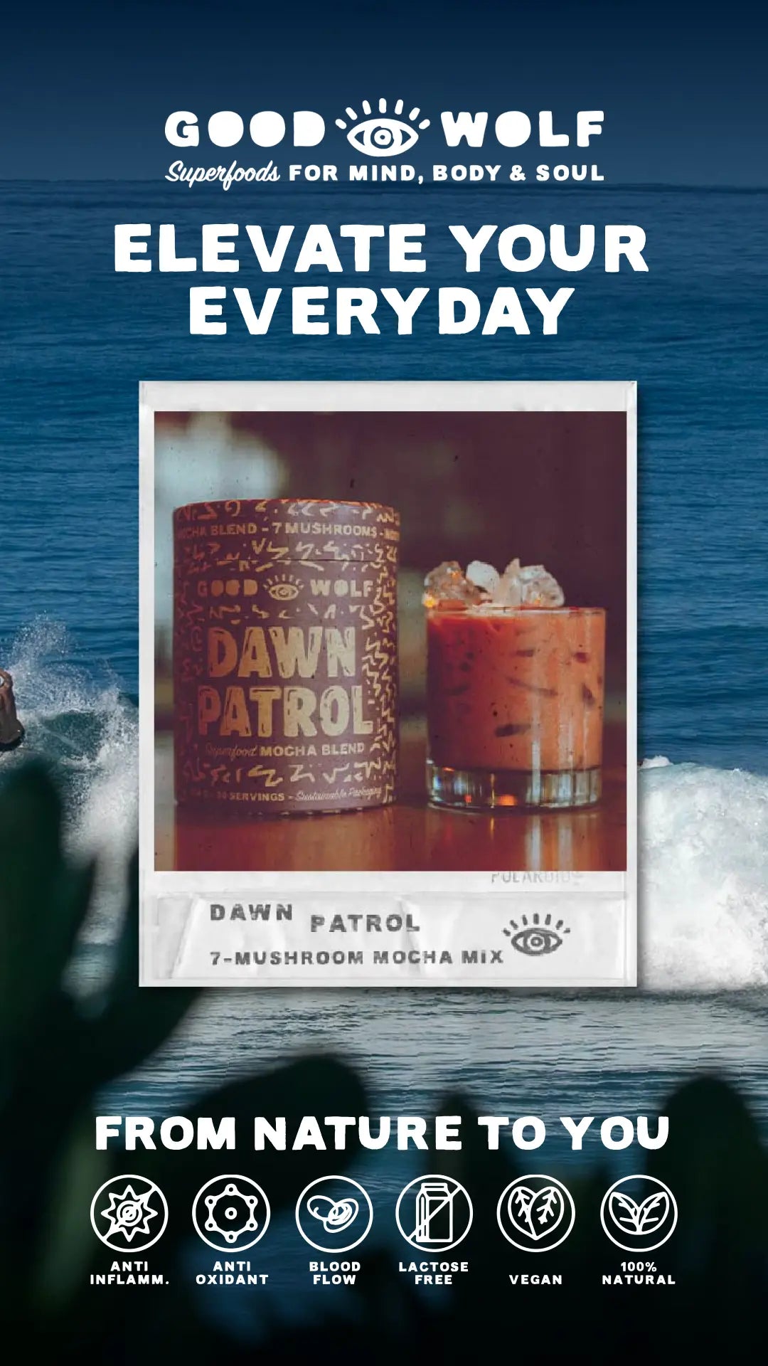 Dawn-Patrol-Mushroom-Cacao-vs.-Mud-WTR Good Wolf